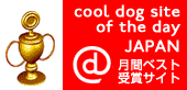 Cool Dog Site of the Day JAPAN ԃxXgTCg