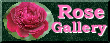 Rose Gallery
