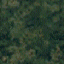 tr01.gif