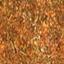 tr02.gif