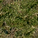 tr05.gif
