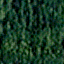 tr06.gif