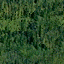 tr07.gif