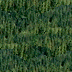 tr08.gif