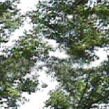 tr10.gif