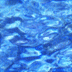 wt02.gif