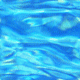 wt06.gif