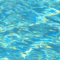 wt08.gif