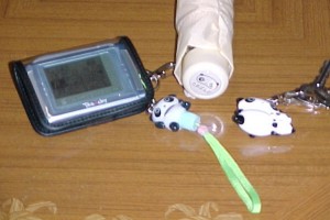 TEGAcky&たれぱんだグッズ