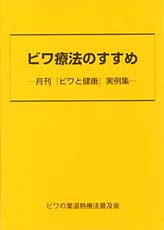 �ӥ���ˡ�Τ�����