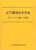 �ӥ���ˡ�Τ�����