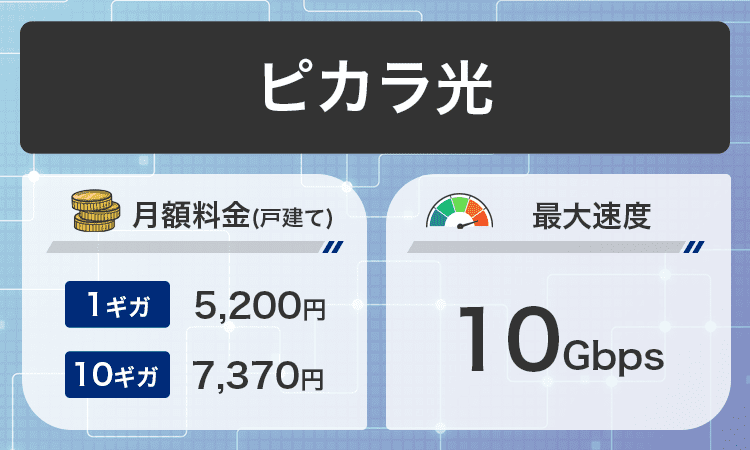 戸建てピカラ光商標画像