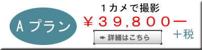 ちばアート　Aプラン