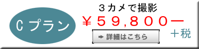 ちばアート　Cプラン